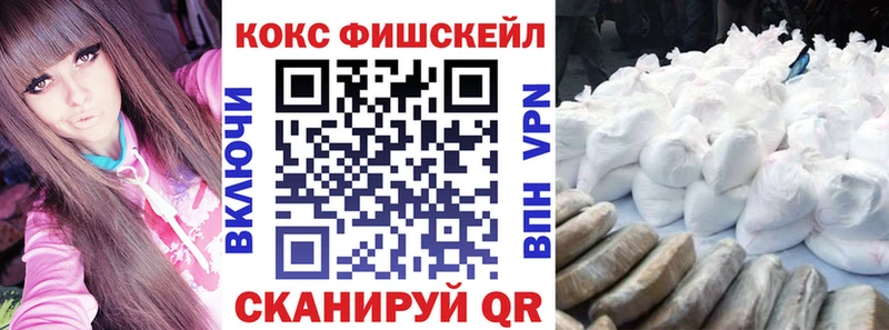 Cocaine Fish Scale блэк спрут вход Железноводск