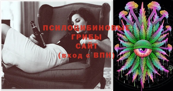 дурь Алексеевка
