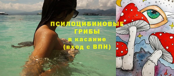 дурь Алексеевка